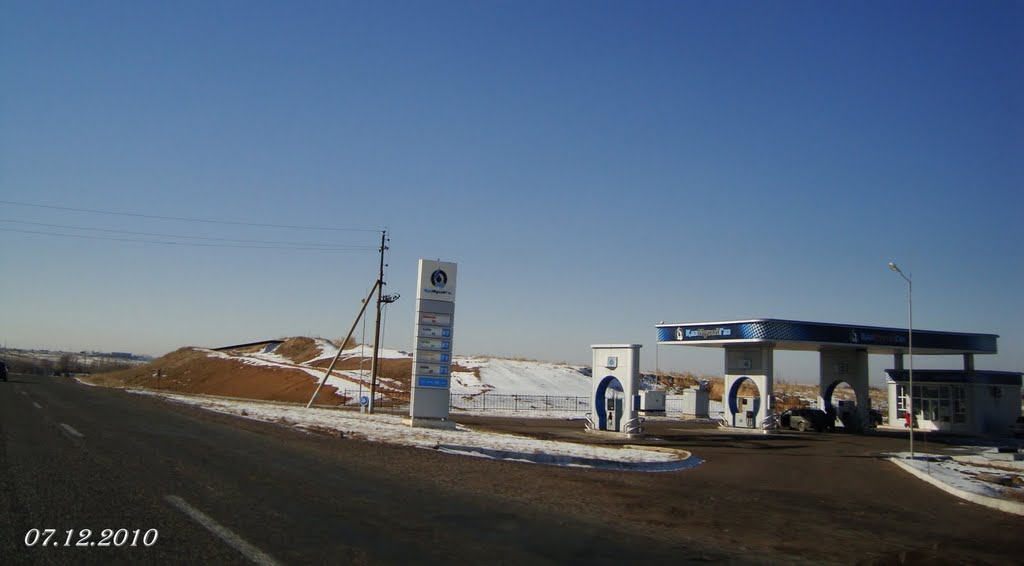 7 декабря 2010