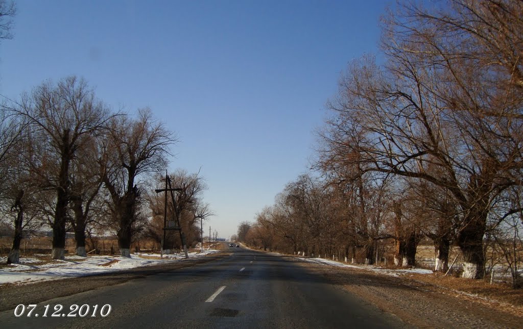7 декабря 2010