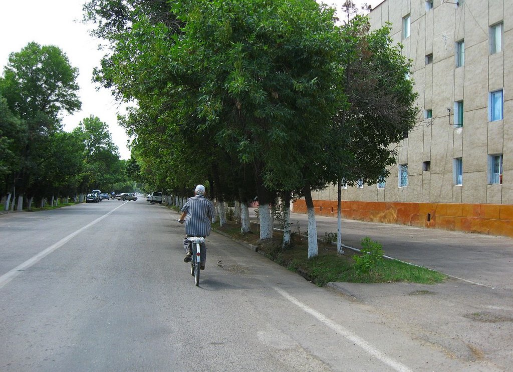 Гулистан.Ул.Мустакиллик (Гагарина)