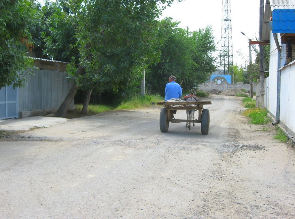 Гулистан.2-й мк-он