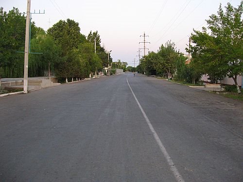 Улица Сайхун (Пушкина)