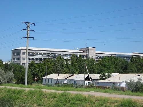 Гулистанский Универ