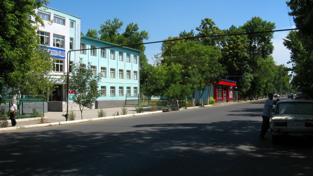 Сырдарьинский Педагогический Колледж