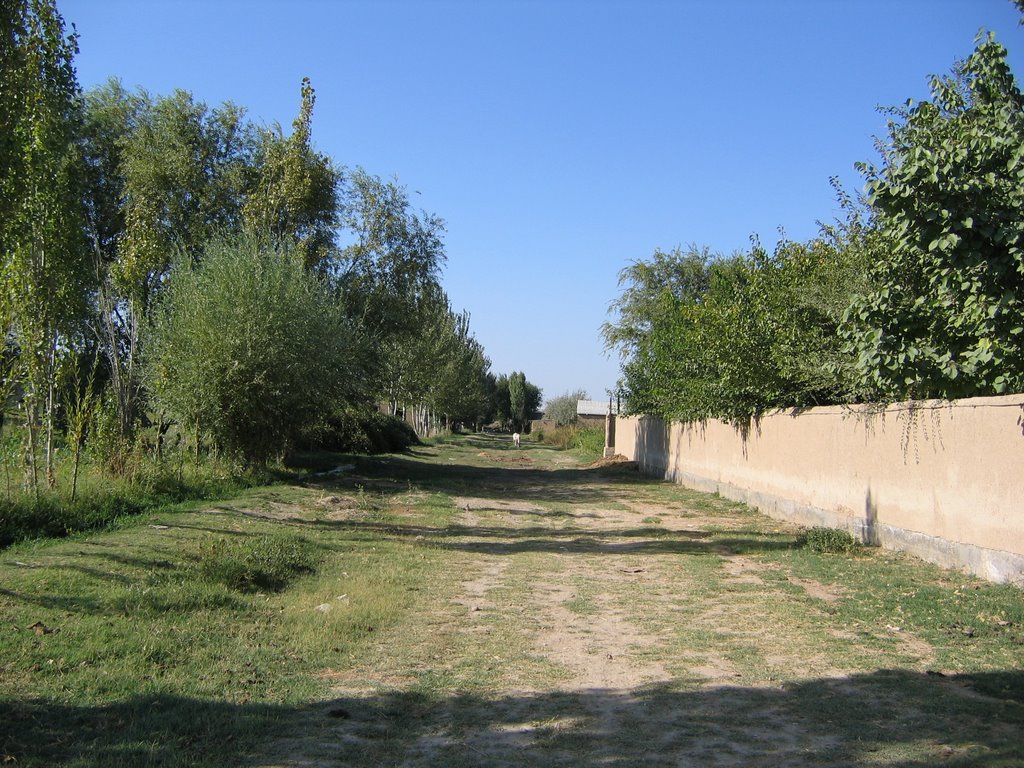 Жар куча