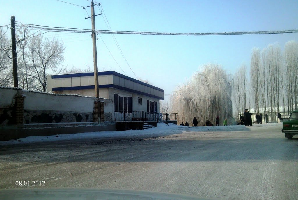 Алимкент