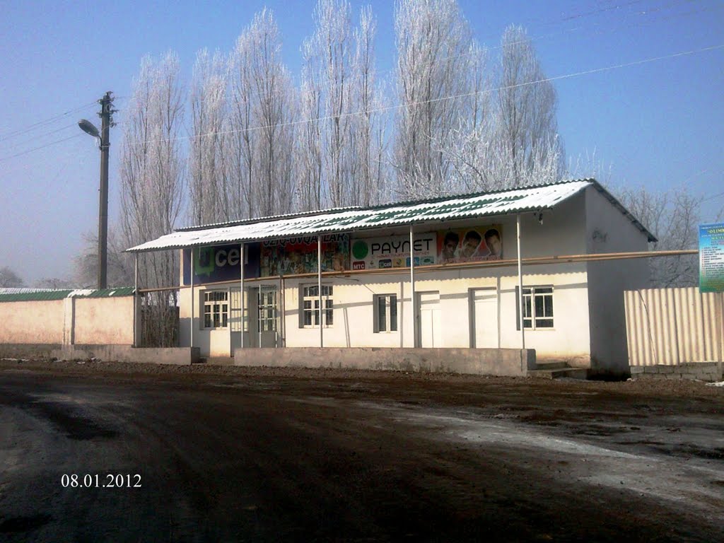 Алимкент