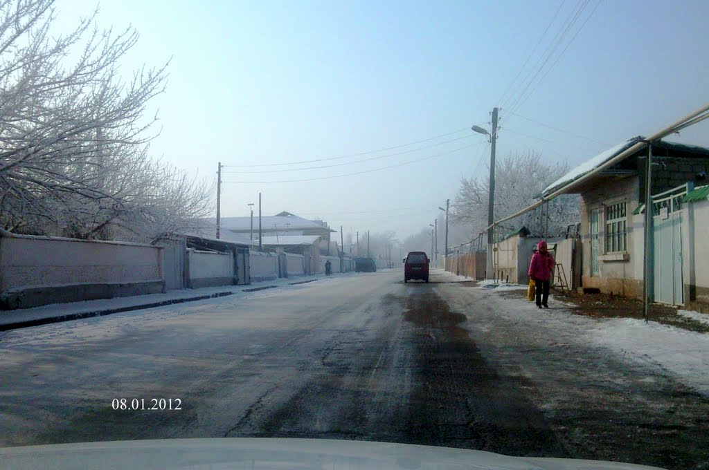 Алимкент