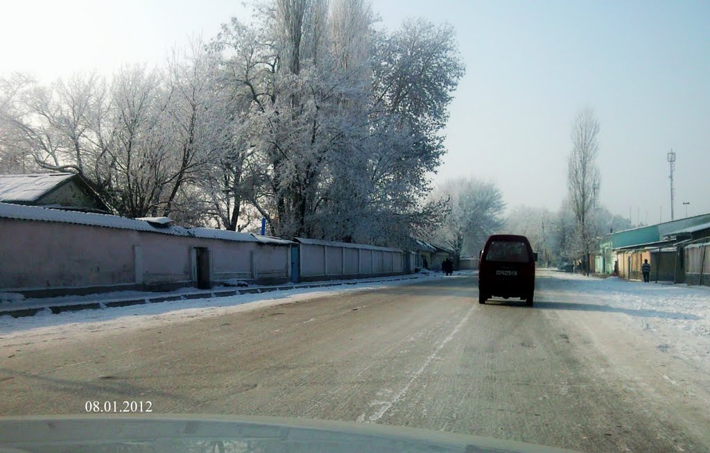 Алимкент