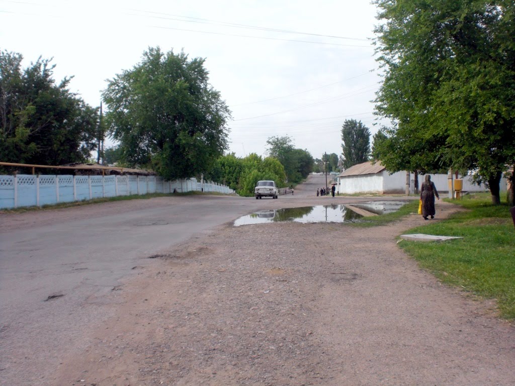 Almazars Lenin street