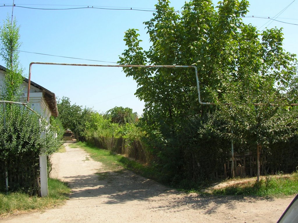 Chehov street