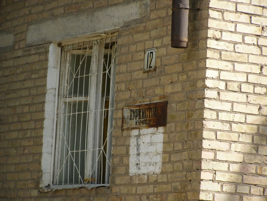 Туркистанская, 12