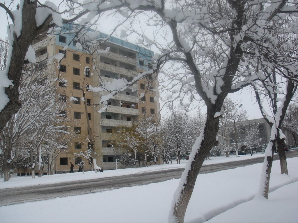 Famous abandoned house in Angren, in winter