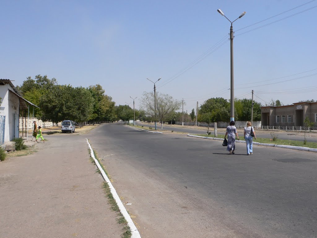 Кольцевая дорога