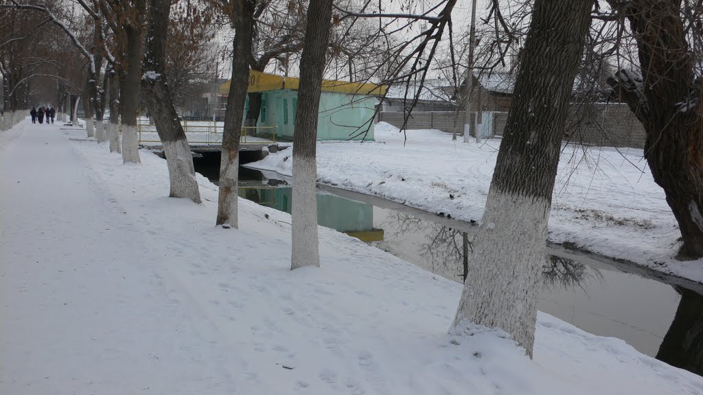 Арык