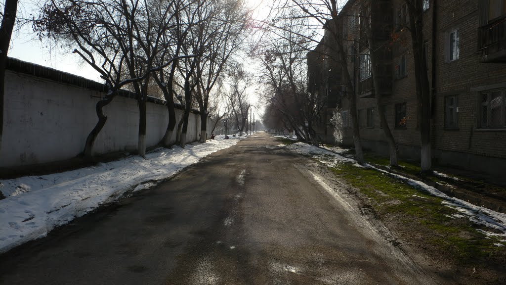 1-й микрорайон