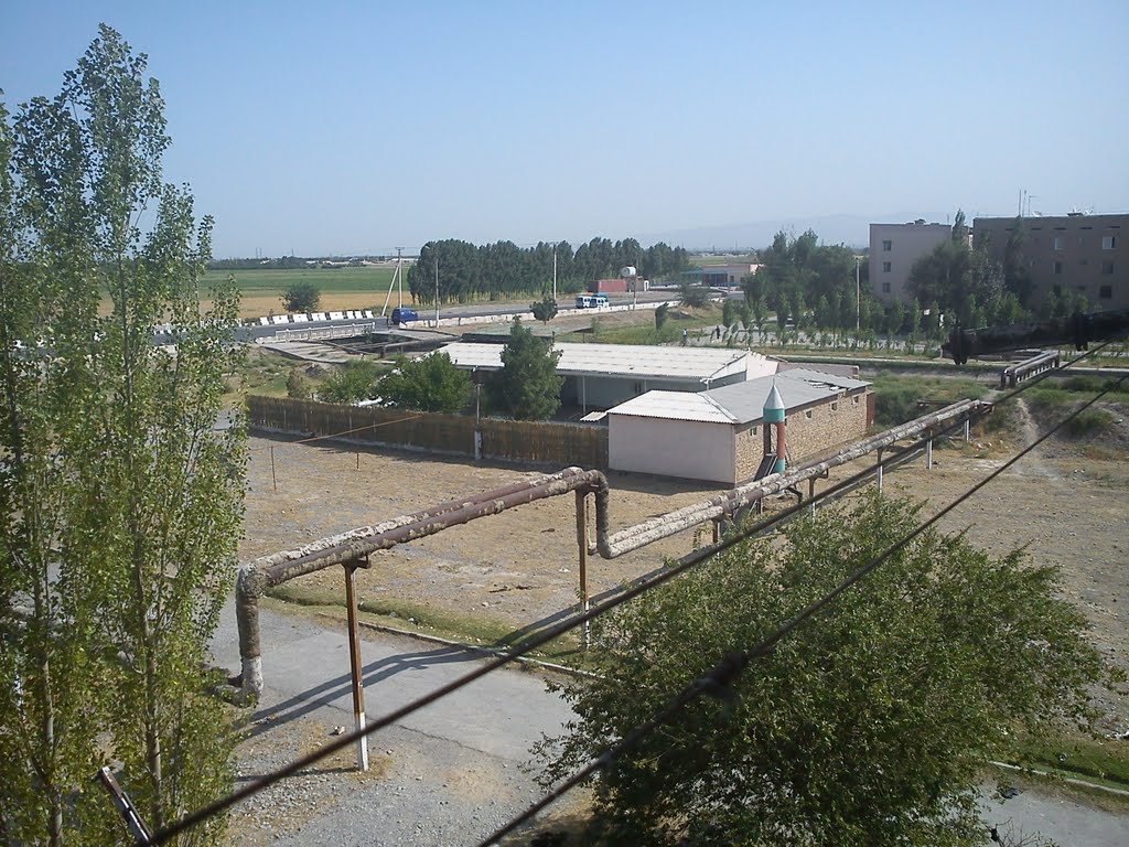 Ташкенская дорога