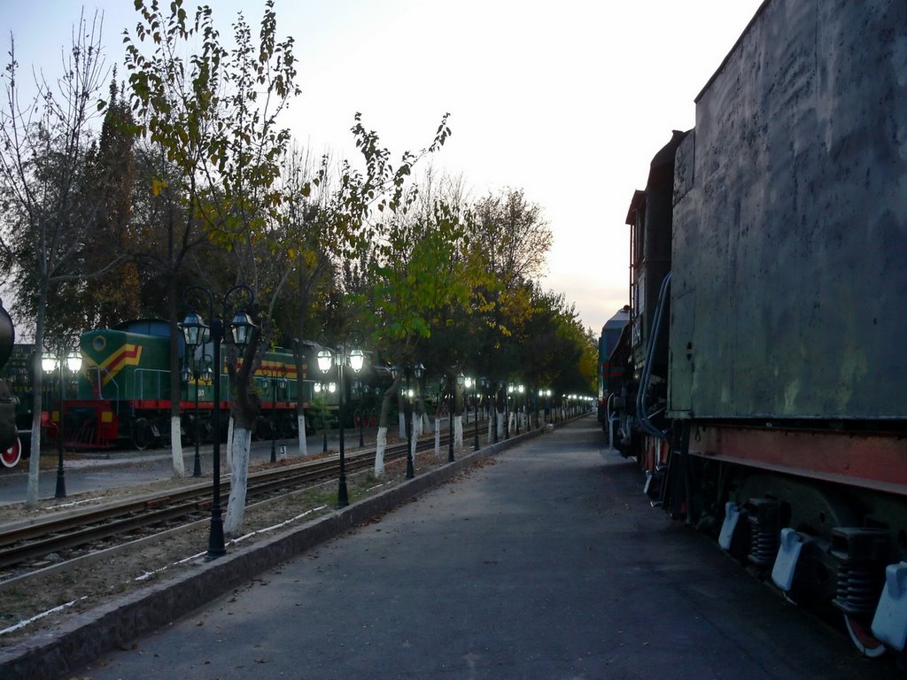 Вечер в музее