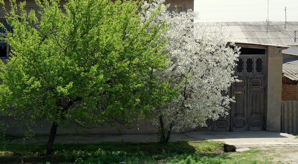 Весенние наряды. Аttired in spring colors.