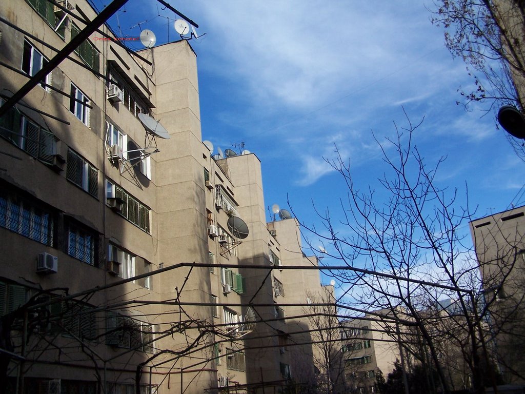 Our Satellite Dish in Tashkent