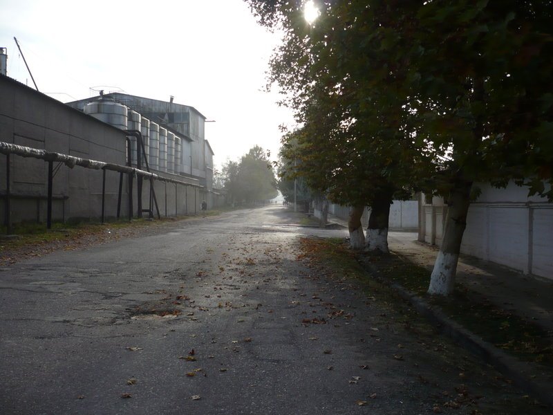 У винного завода