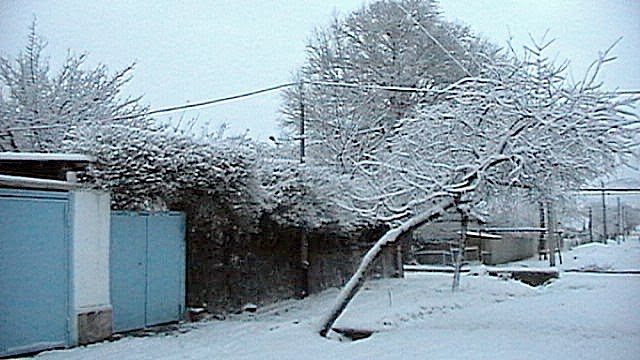 ул.навруза 17