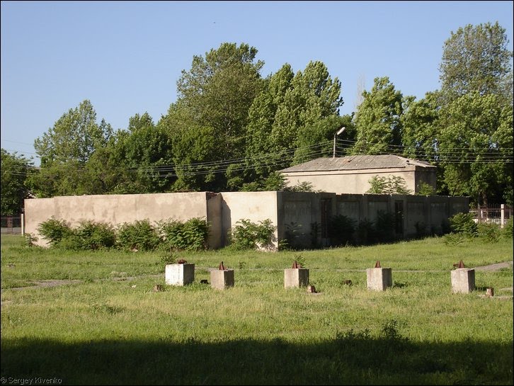 Летний кинотеатр