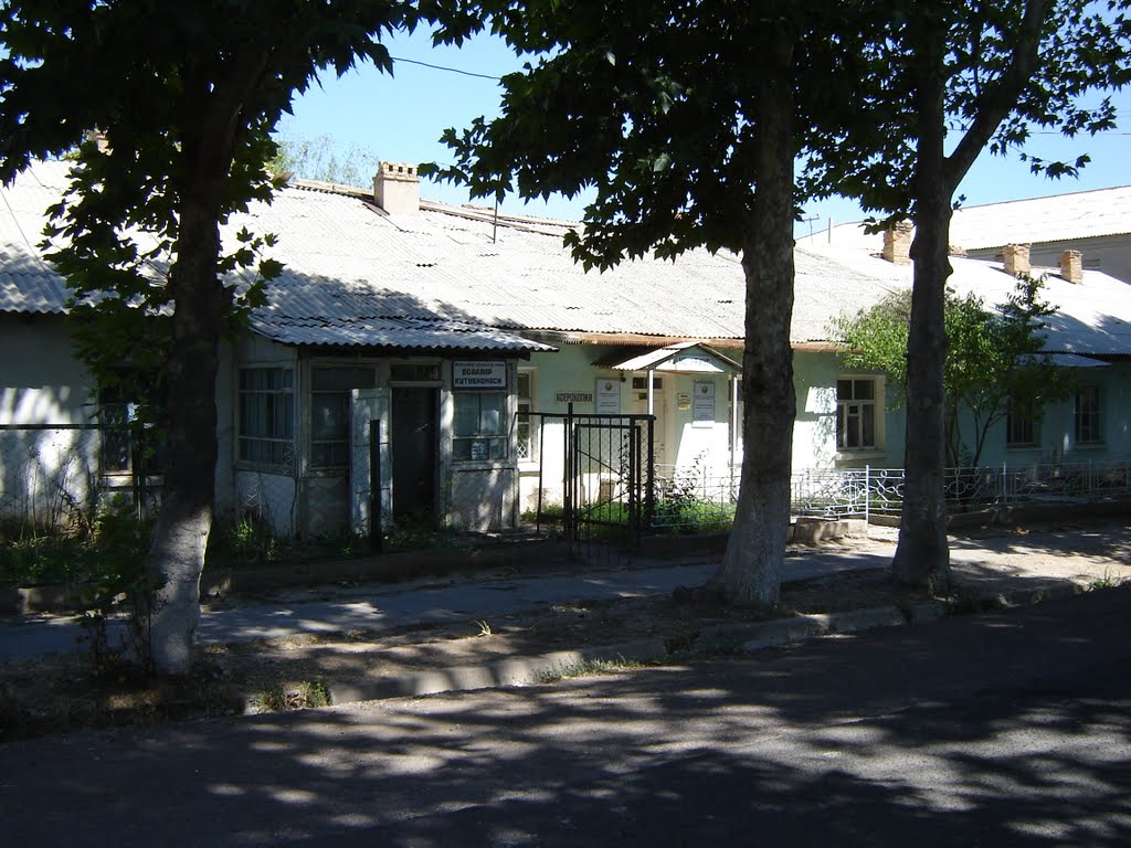 Детская библиотека