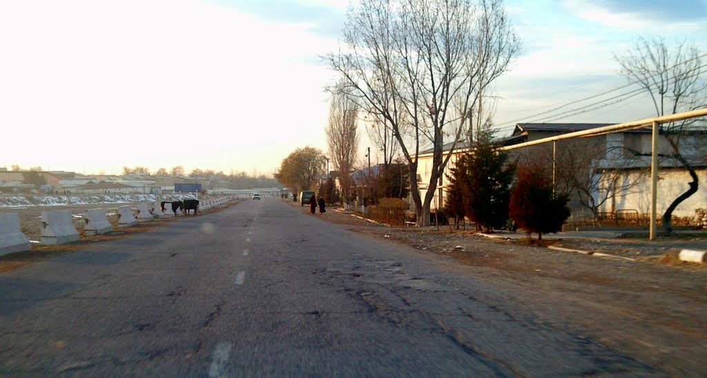 Паркент
