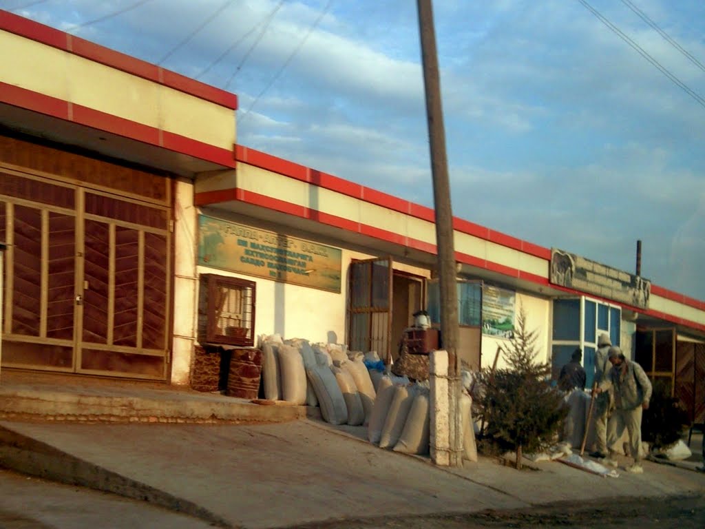 Паркент