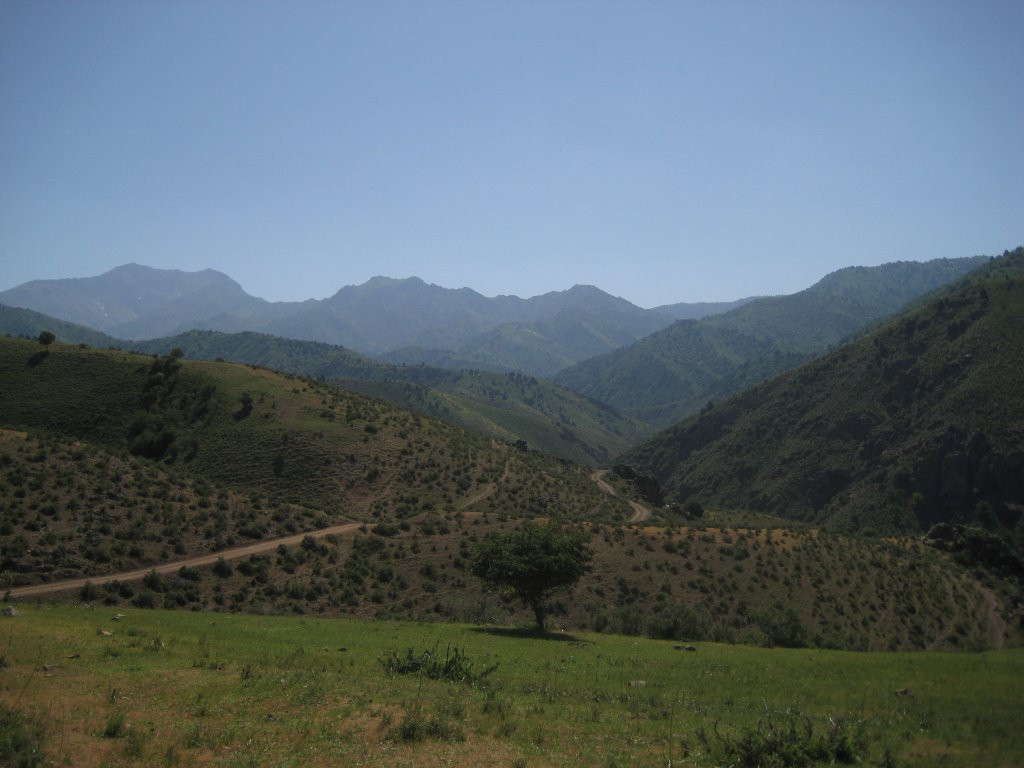 chatkal national park