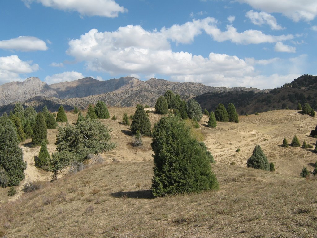 mountains