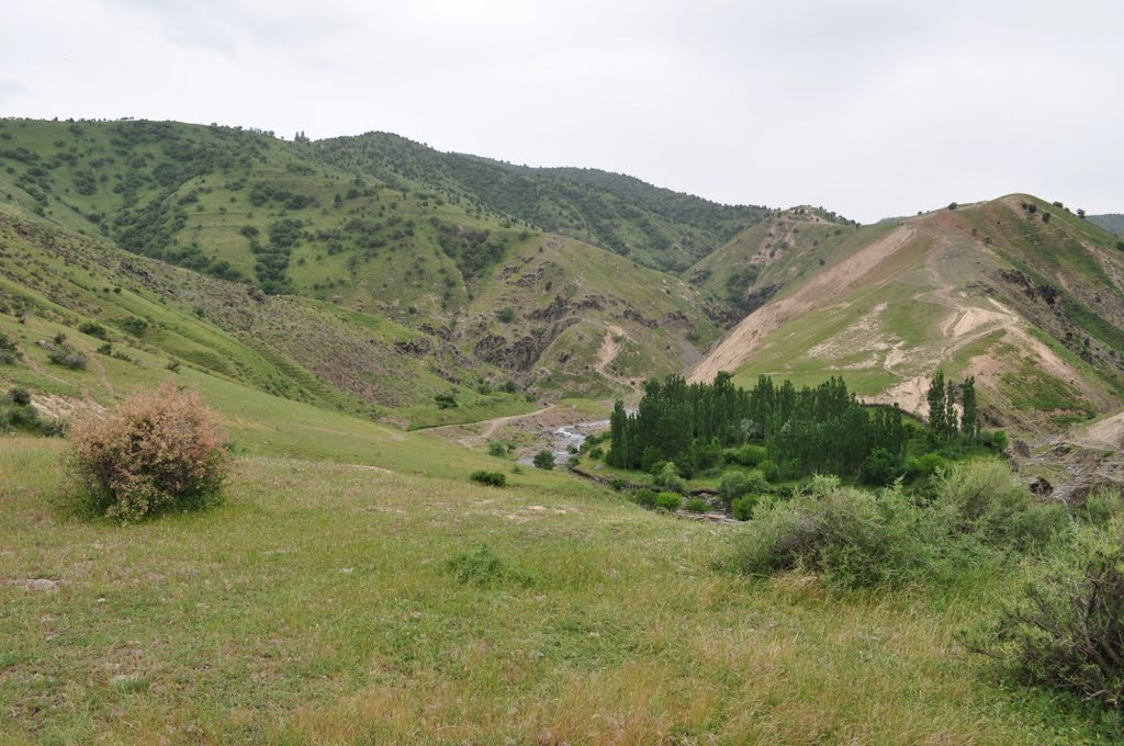 Pension KizylSoy near the Krasnogorsk May 2010