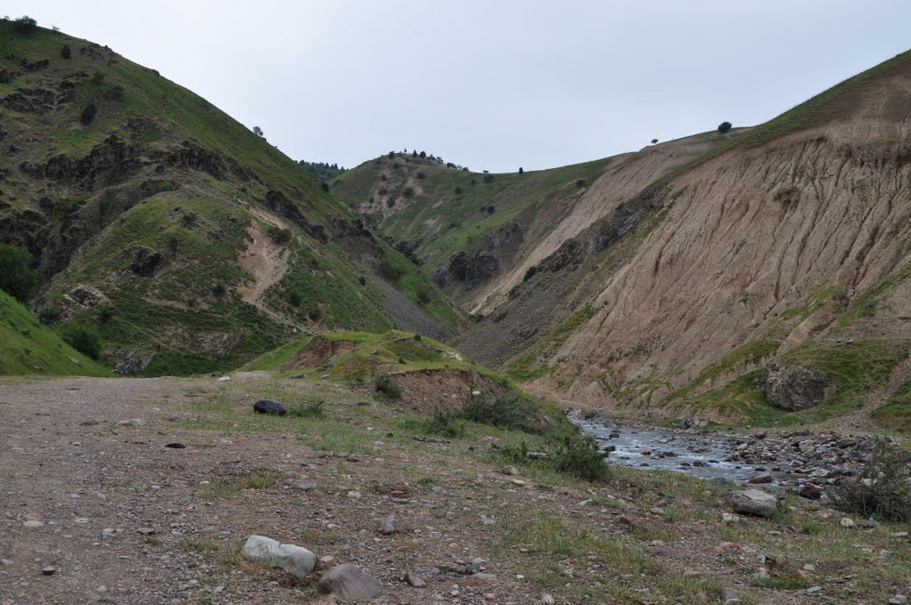 mountain river Kizyl Say May 2010
