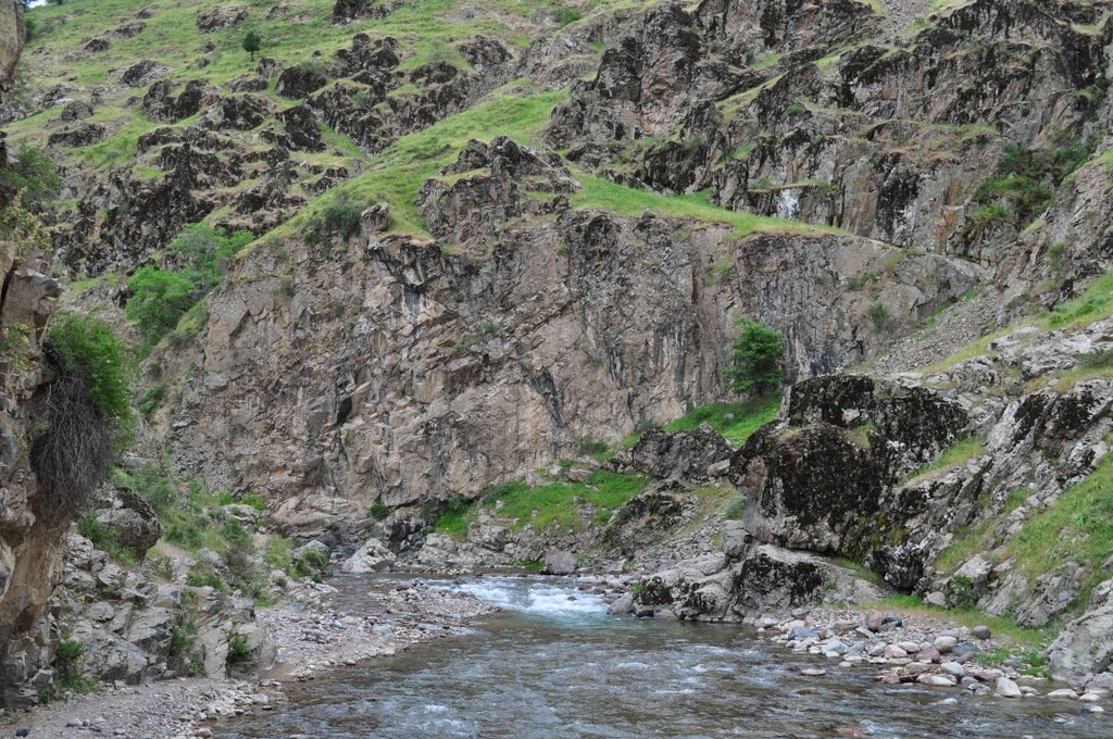 mountain river Kizyl Say May 2010
