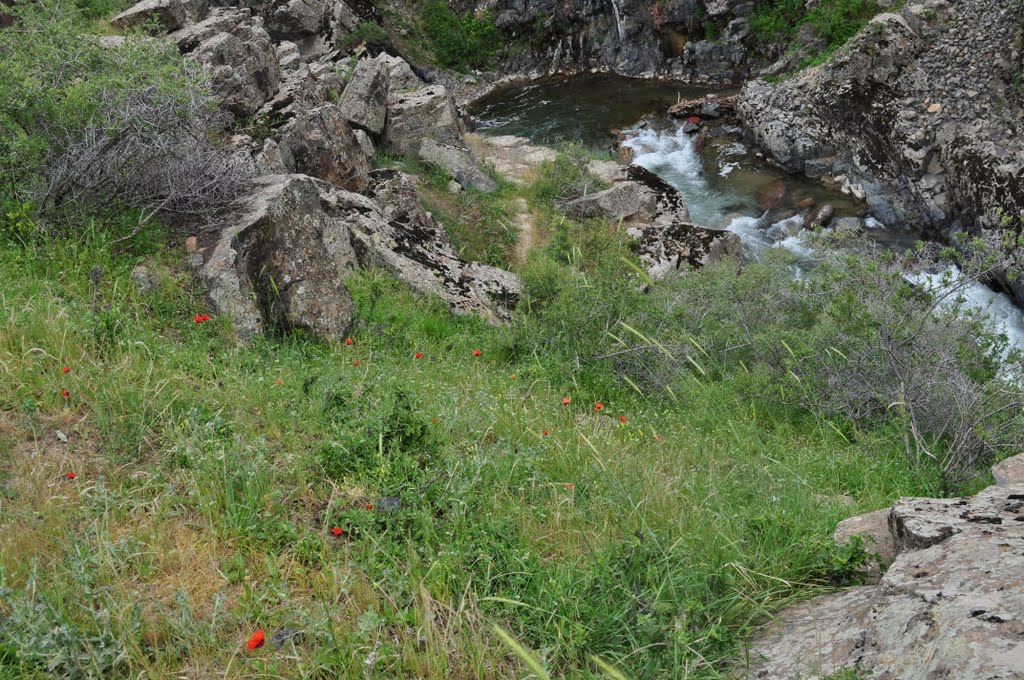 mountain river Kizyl Soy May 2010