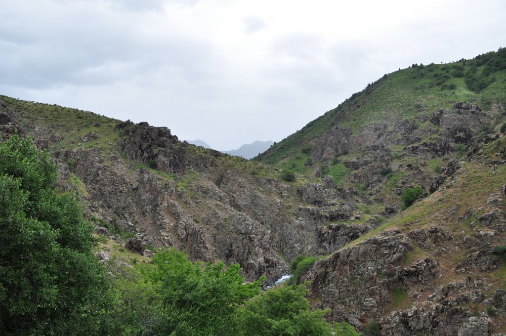 mountain river Kizyl Soy May 2010