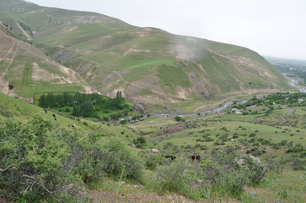 mountain river Kizyl Soy May 2010