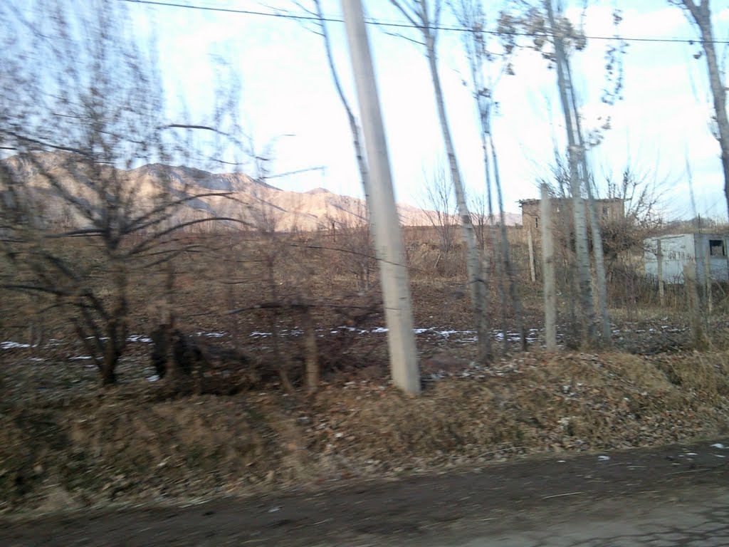 Паркент