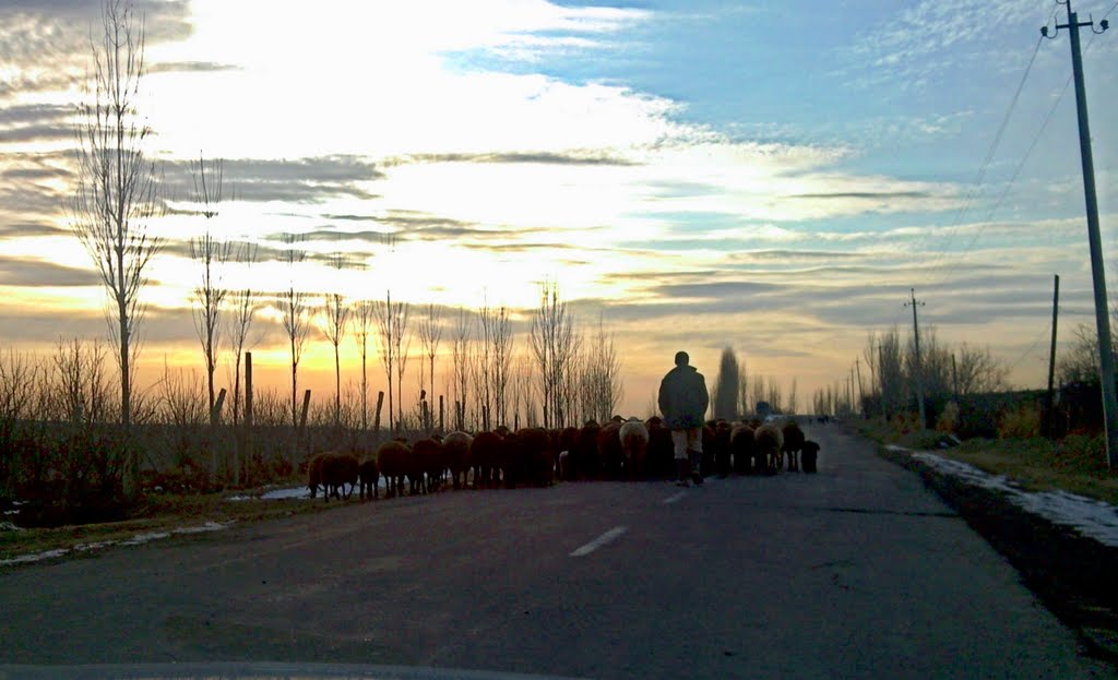 Паркент