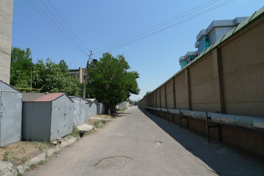 Tashkent My Parents House