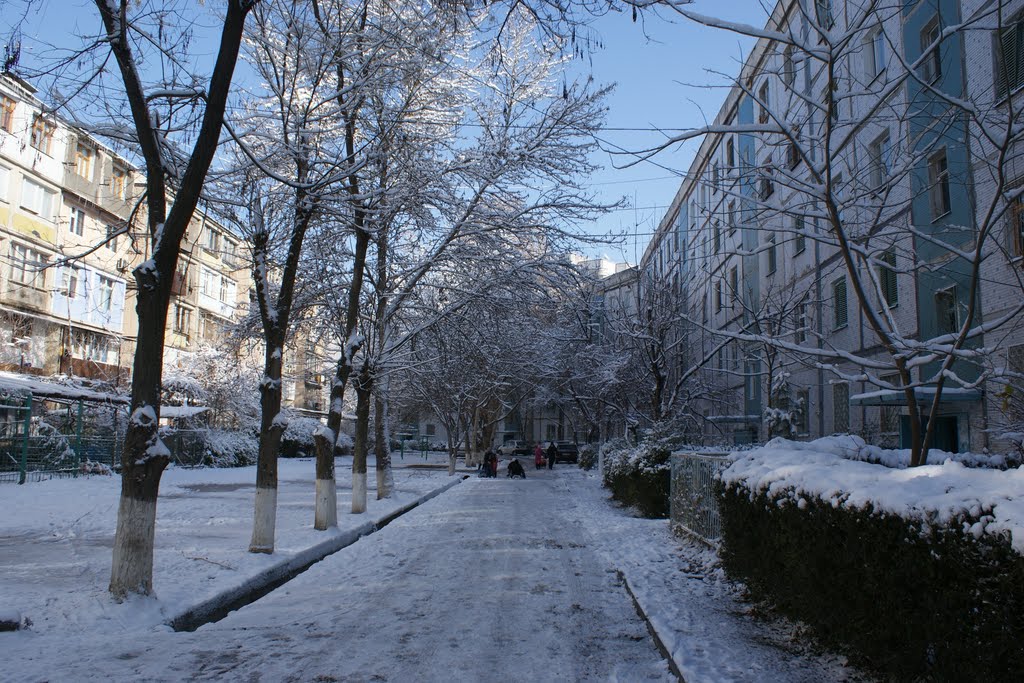 Двор дома 1