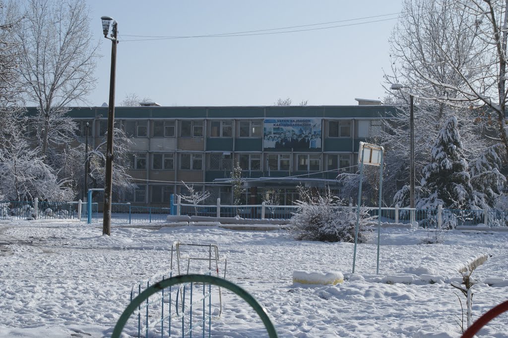 Школа 255
