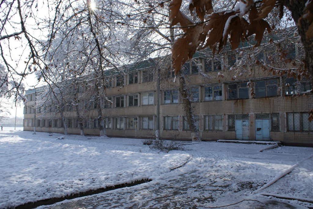 Шлола 255