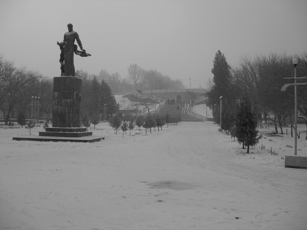 Чирчик зимой