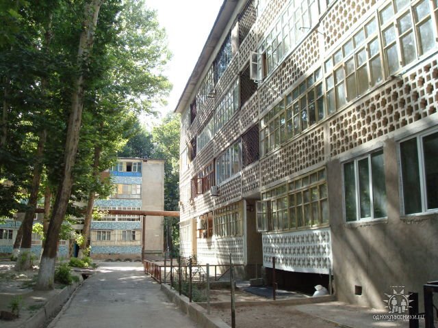 дом 50