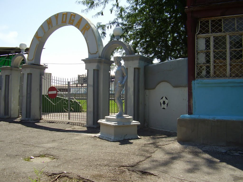 Вход в стадион химик