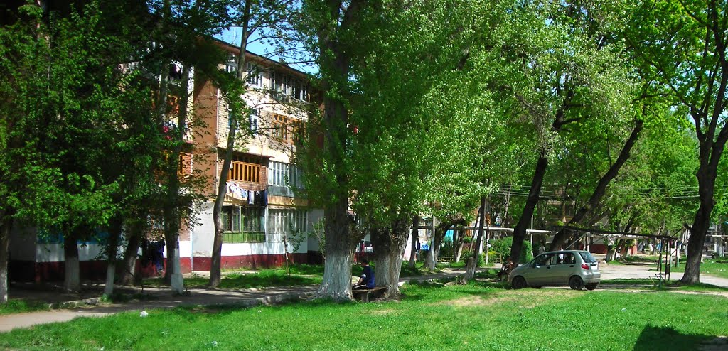 дом 14
