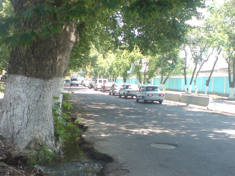 Navoi street