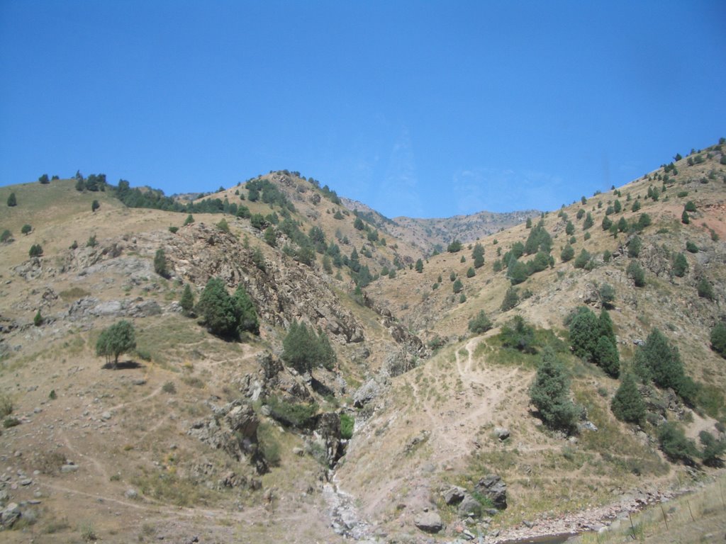 gori Jangiobad