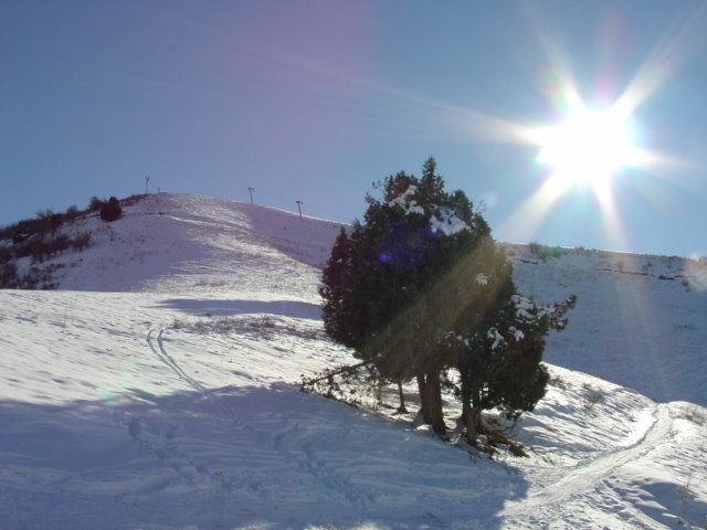 Rodnichok